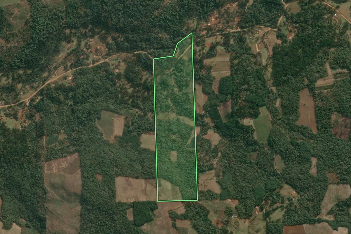 Imagem de satélite do imóvel rural em Cruz Machado (PR), com o contorno declarado no CAR desenhado por cima.