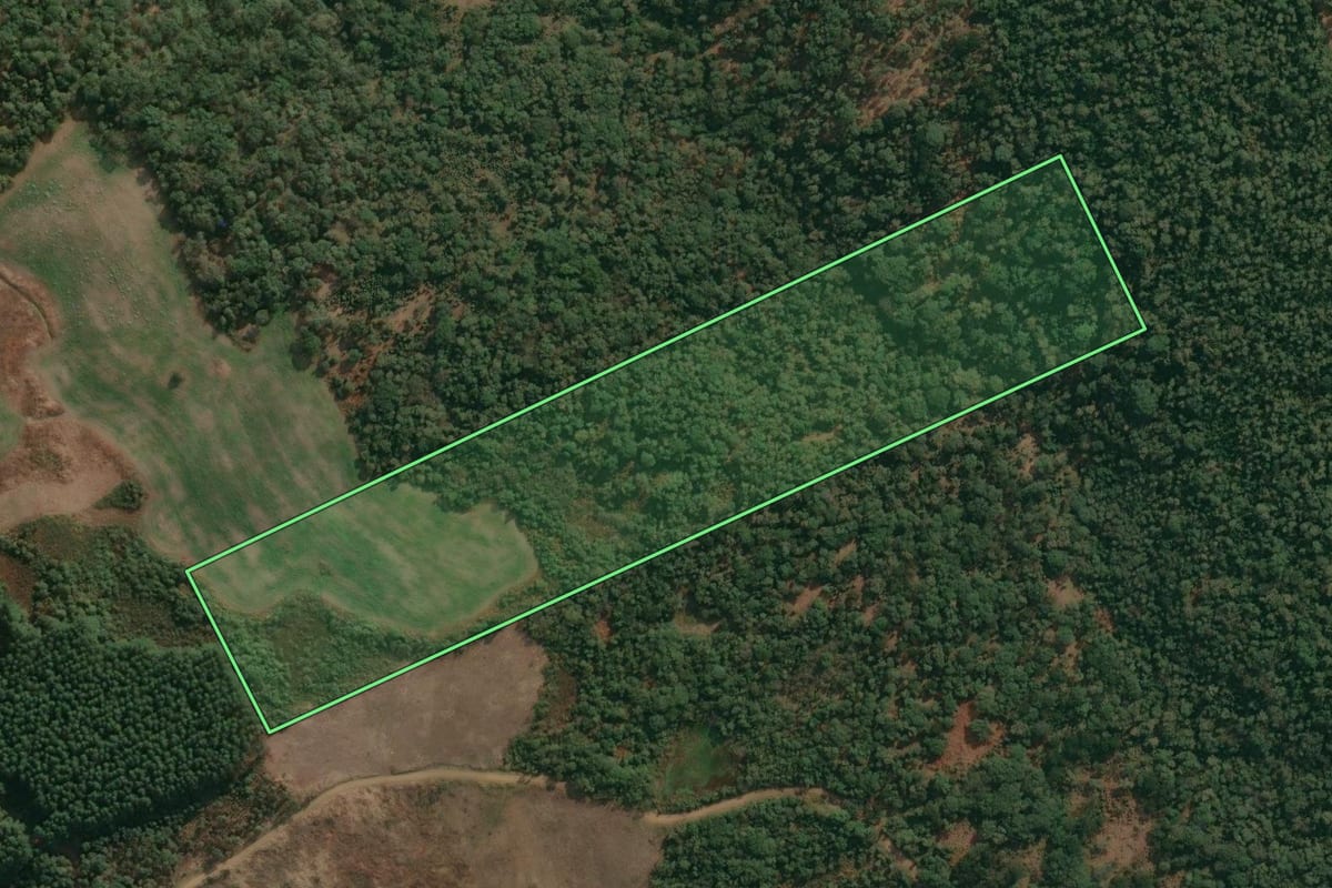Imagem de satélite do imóvel rural em Cruz Machado (PR), com o contorno declarado no CAR desenhado por cima.