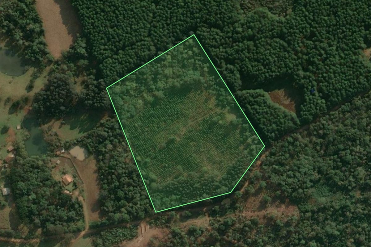 Imagem de satélite do imóvel rural em Cruz Machado (PR), com o contorno declarado no CAR desenhado por cima.
