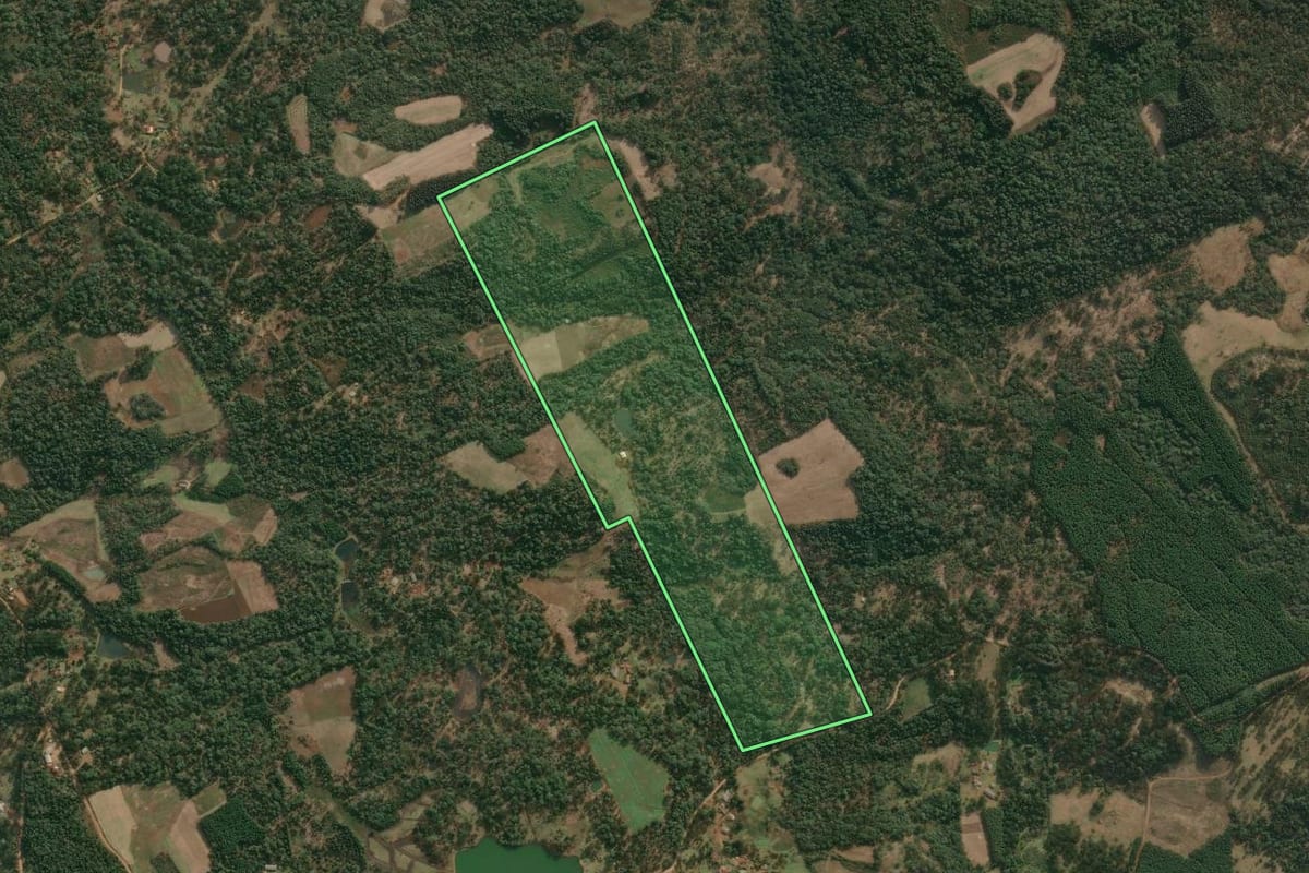 Imagem de satélite do imóvel rural em Cruz Machado (PR), com o contorno declarado no CAR desenhado por cima.