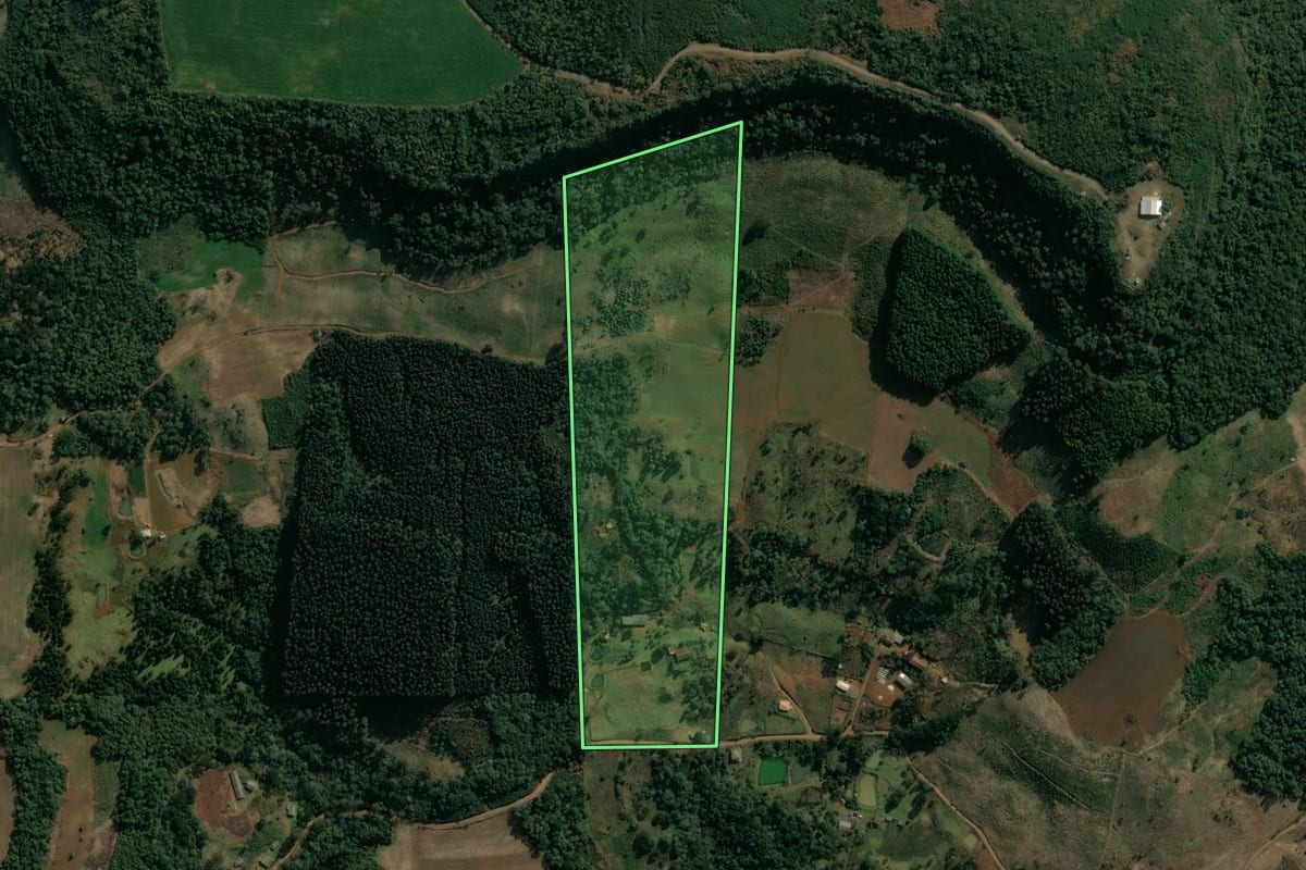 Imagem de satélite do imóvel rural em Cruz Machado (PR), com o contorno declarado no CAR desenhado por cima.