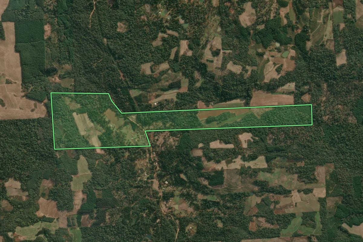 Imagem de satélite do imóvel rural em Cruz Machado (PR), com o contorno declarado no CAR desenhado por cima.