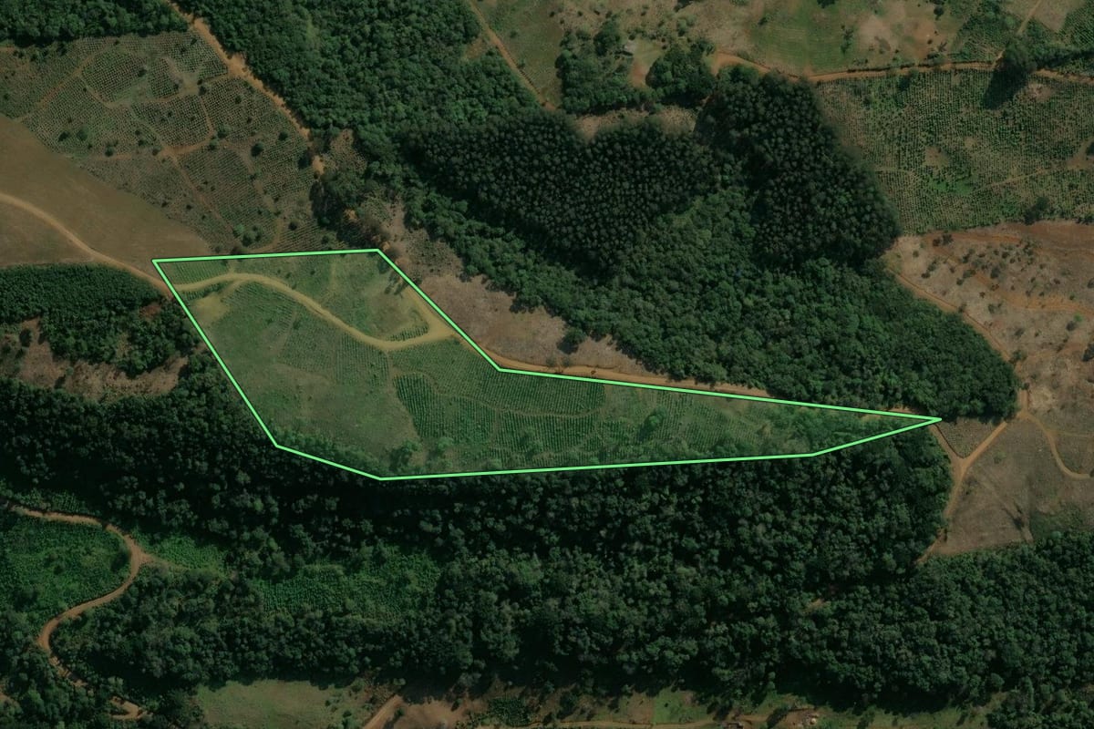 Imagem de satélite do imóvel rural em Cruz Machado (PR), com o contorno declarado no CAR desenhado por cima.