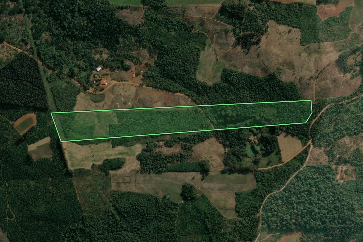 Imagem de satélite do imóvel rural em Cruz Machado (PR), com o contorno declarado no CAR desenhado por cima.