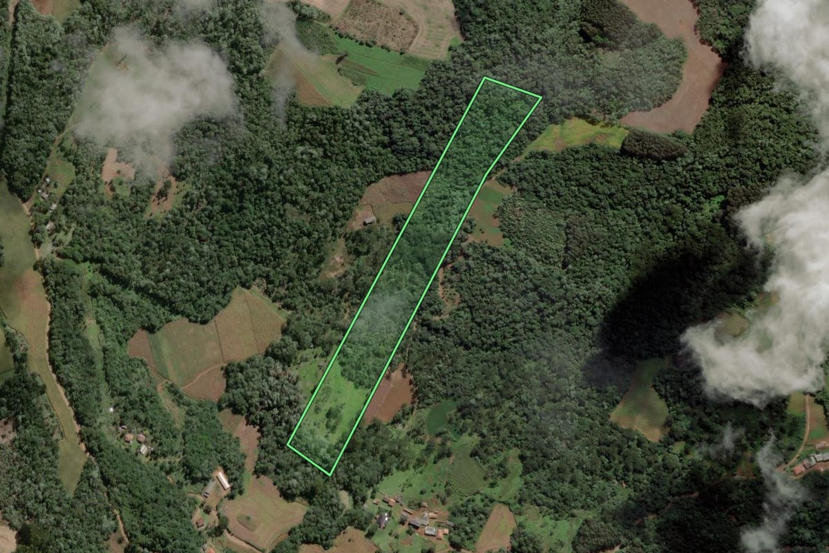 Imagem de satélite do imóvel rural em Cruz Machado (PR), com o contorno declarado no CAR desenhado por cima.