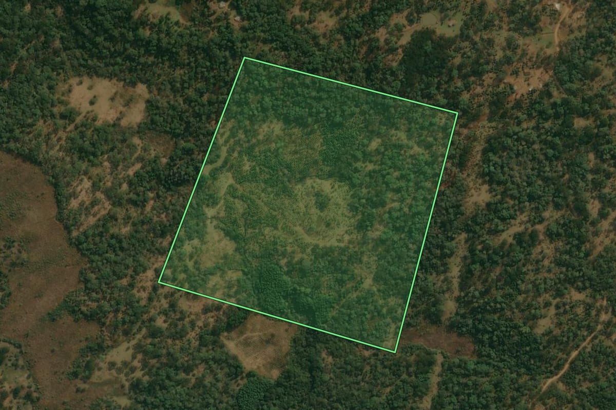 Imagem de satélite do imóvel rural em Cruz Machado (PR), com o contorno declarado no CAR desenhado por cima.