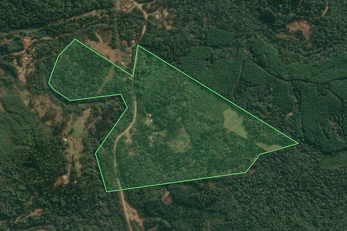 Imagem de satélite do imóvel rural em Cruz Machado (PR), com o contorno declarado no CAR desenhado por cima.