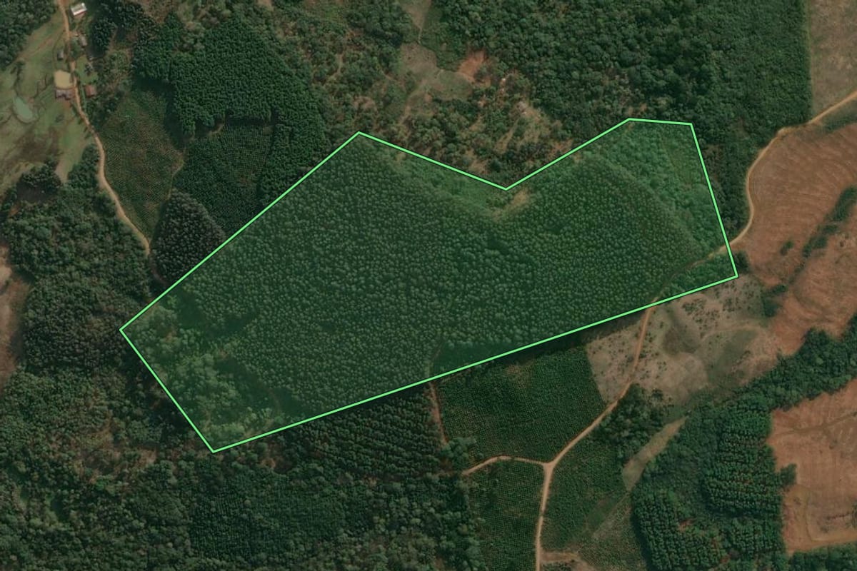 Imagem de satélite do imóvel rural em Cruz Machado (PR), com o contorno declarado no CAR desenhado por cima.