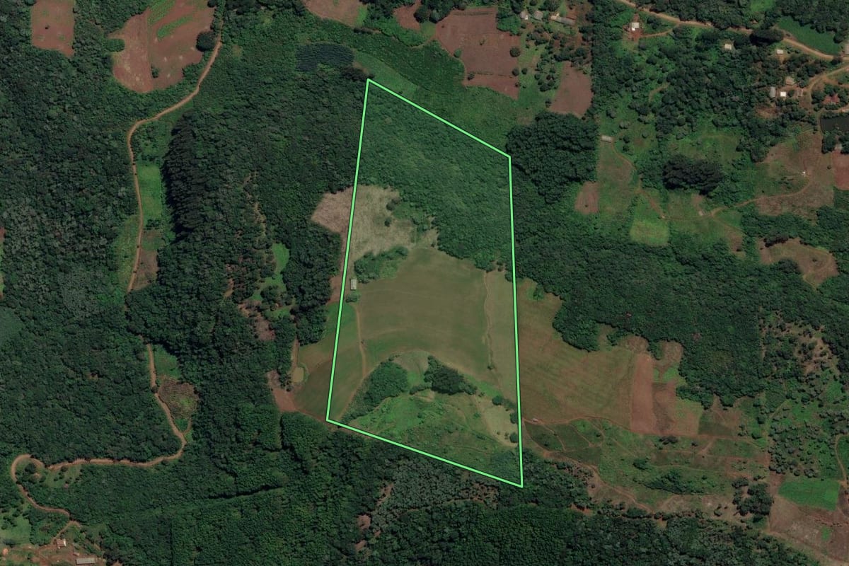 Imagem de satélite do imóvel rural em Cruz Machado (PR), com o contorno declarado no CAR desenhado por cima.