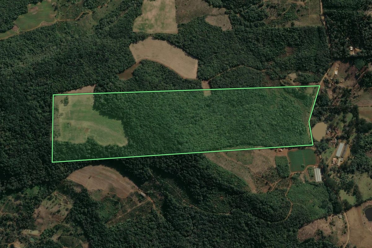 Imagem de satélite do imóvel rural em Cruz Machado (PR), com o contorno declarado no CAR desenhado por cima.