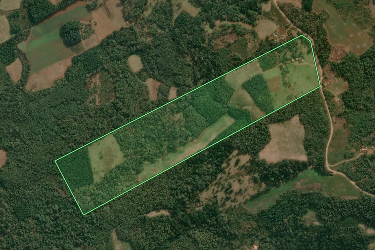 Imagem de satélite do imóvel rural em Cruz Machado (PR), com o contorno declarado no CAR desenhado por cima.