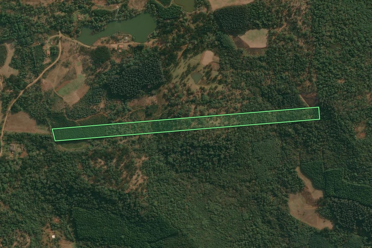 Imagem de satélite do imóvel rural em Cruz Machado (PR), com o contorno declarado no CAR desenhado por cima.