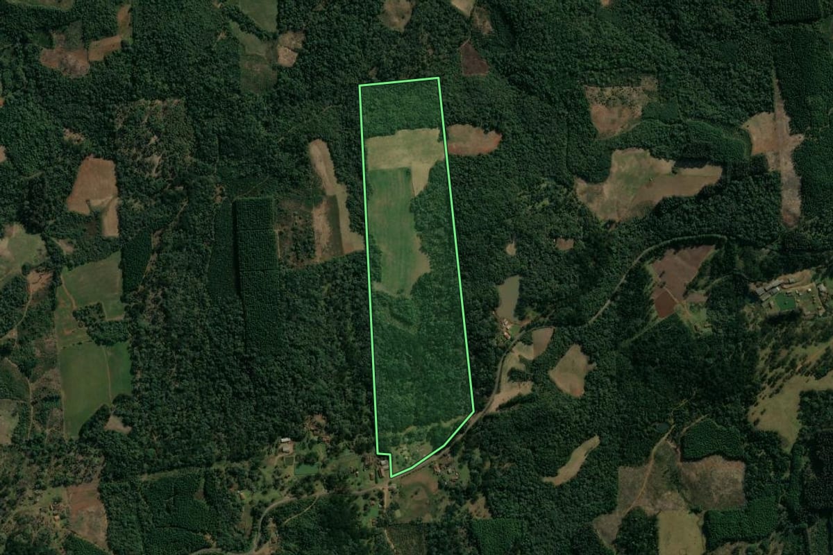 Imagem de satélite do imóvel rural em Cruz Machado (PR), com o contorno declarado no CAR desenhado por cima.