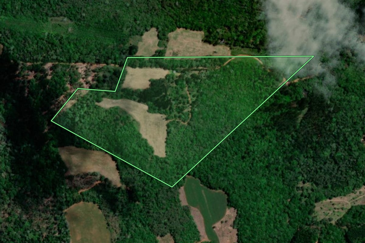 Imagem de satélite do imóvel rural em Cruz Machado (PR), com o contorno declarado no CAR desenhado por cima.