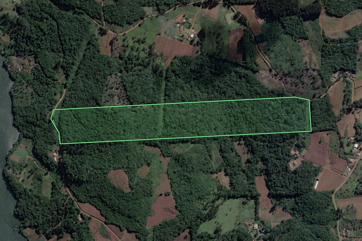 Imagem de satélite do imóvel rural em Cruz Machado (PR), com o contorno declarado no CAR desenhado por cima.