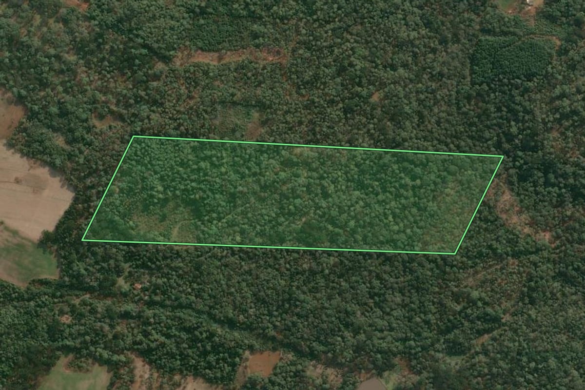 Imagem de satélite do imóvel rural em Cruz Machado (PR), com o contorno declarado no CAR desenhado por cima.