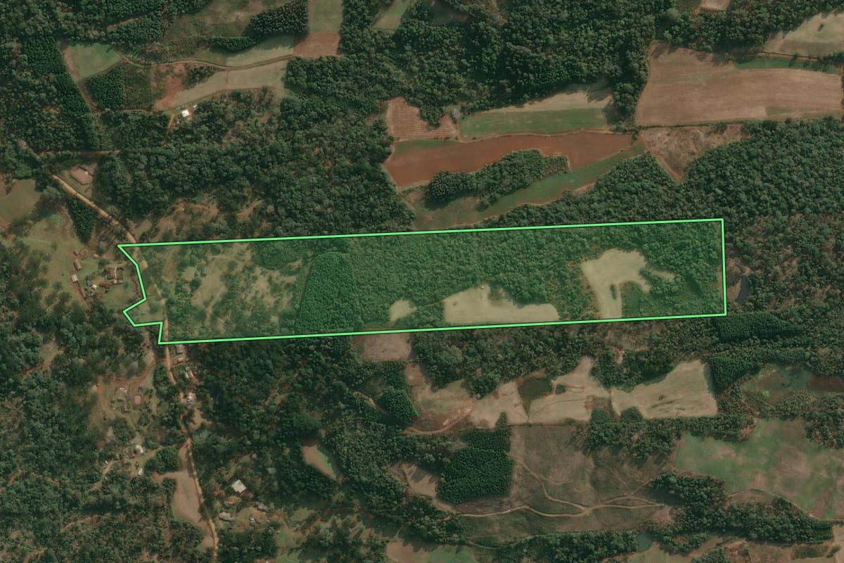 Imagem de satélite do imóvel rural em Cruz Machado (PR), com o contorno declarado no CAR desenhado por cima.