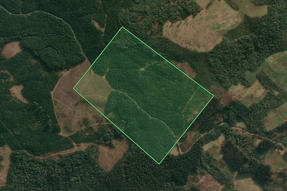 Imagem de satélite do imóvel rural em Cruz Machado (PR), com o contorno declarado no CAR desenhado por cima.
