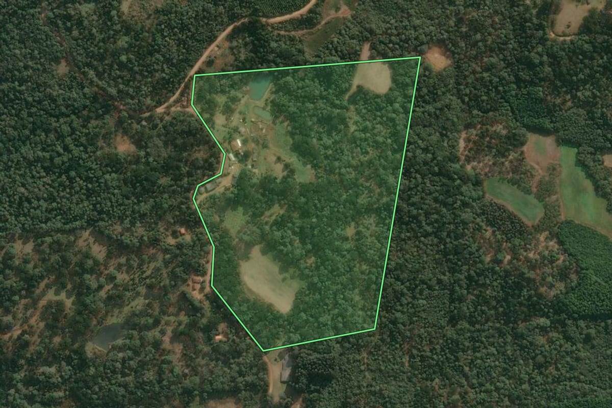 Imagem de satélite do imóvel rural em Cruz Machado (PR), com o contorno declarado no CAR desenhado por cima.