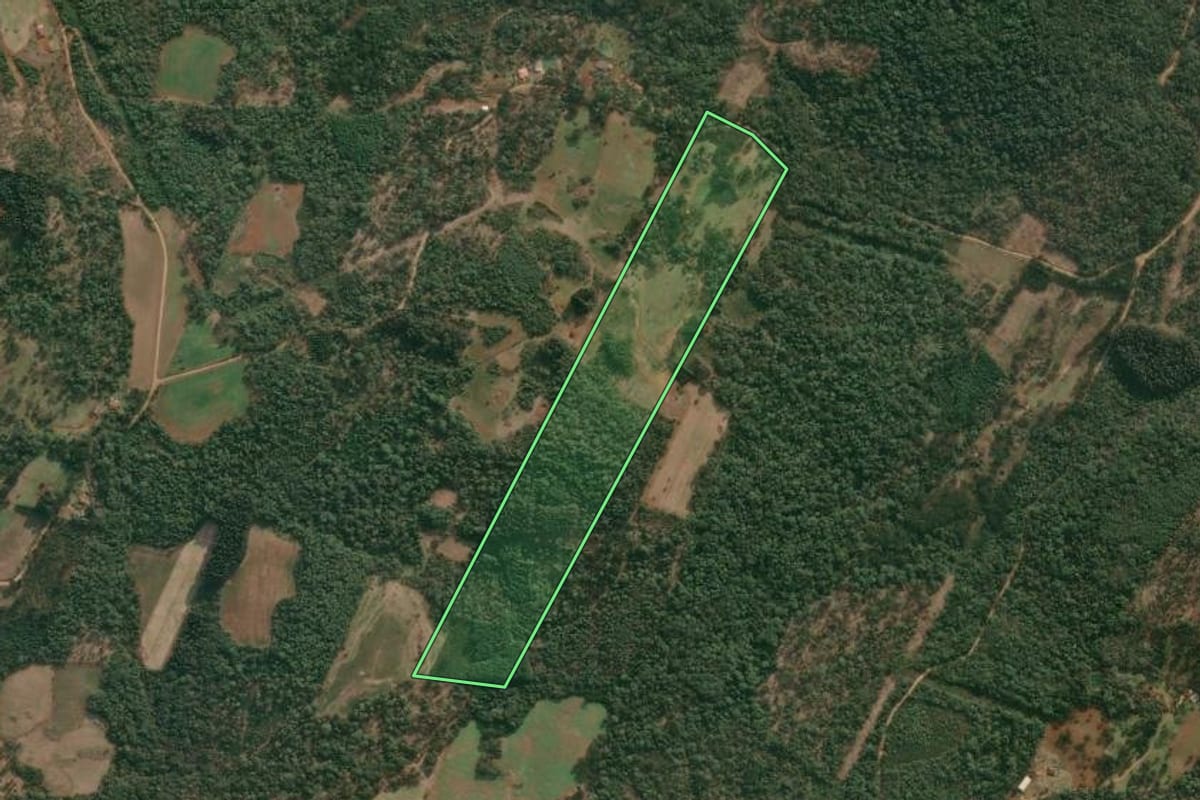 Imagem de satélite do imóvel rural em Cruz Machado (PR), com o contorno declarado no CAR desenhado por cima.