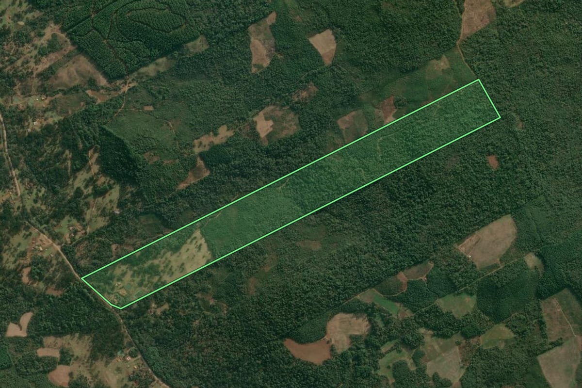 Imagem de satélite do imóvel rural em Cruz Machado (PR), com o contorno declarado no CAR desenhado por cima.