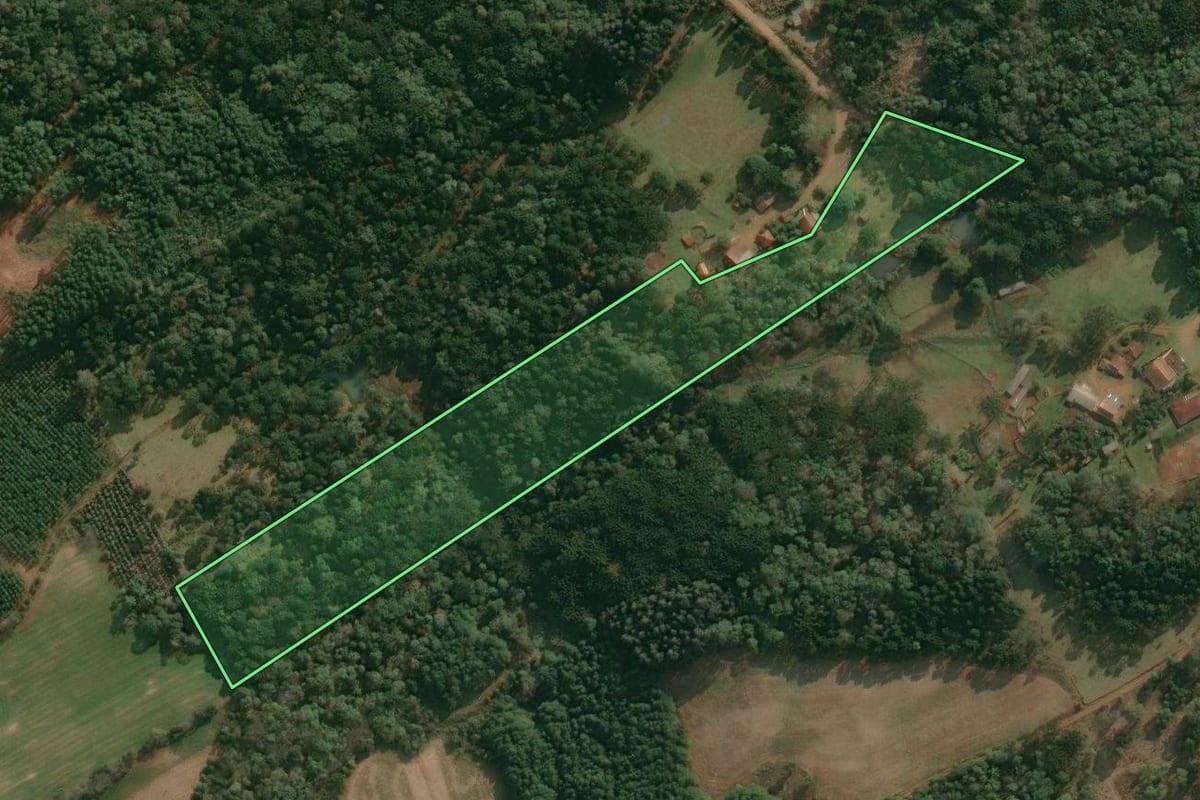 Imagem de satélite do imóvel rural em Cruz Machado (PR), com o contorno declarado no CAR desenhado por cima.