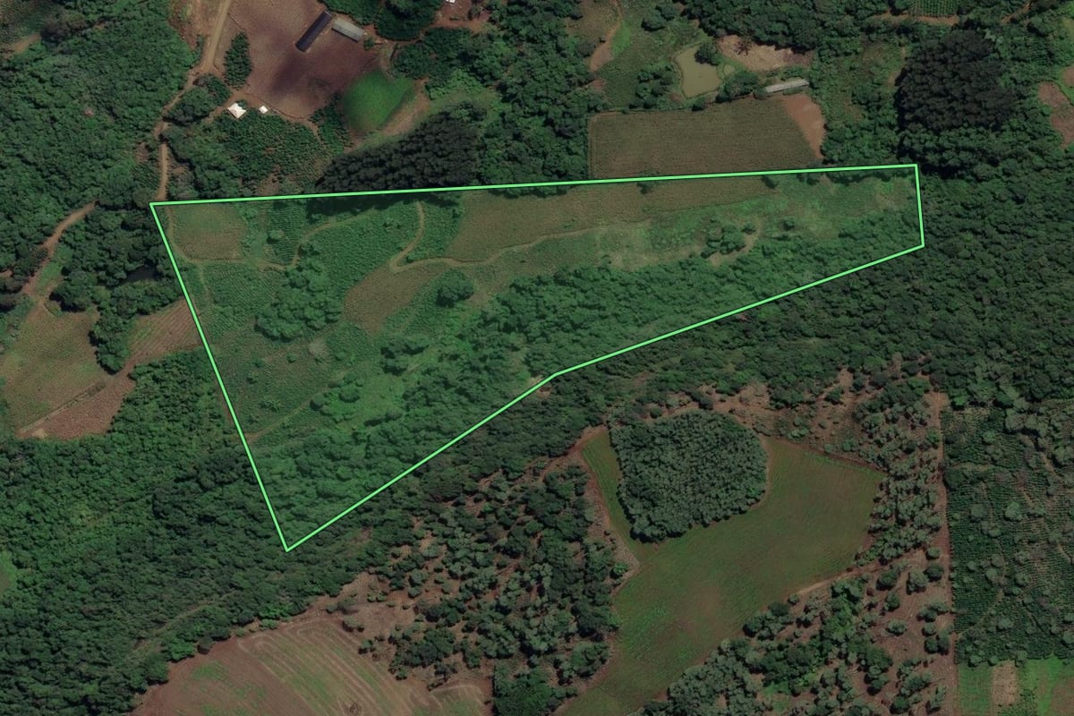 Imagem de satélite do imóvel rural em Cruz Machado (PR), com o contorno declarado no CAR desenhado por cima.
