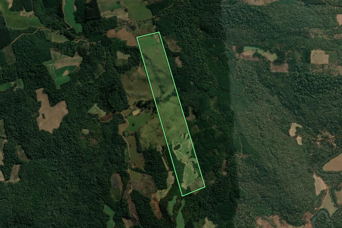 Imagem de satélite do imóvel rural em Cruz Machado (PR), com o contorno declarado no CAR desenhado por cima.