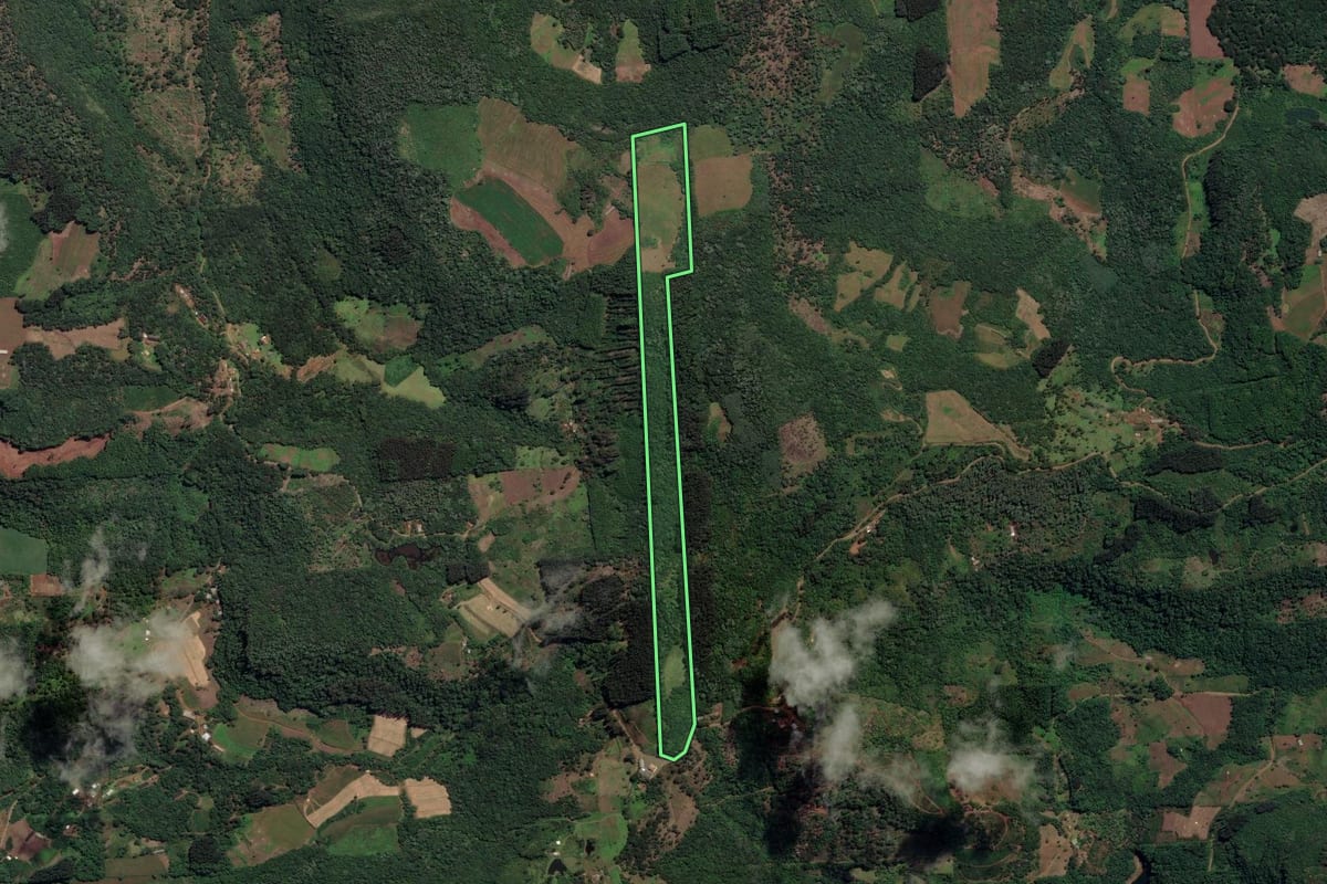 Imagem de satélite do imóvel rural em Cruz Machado (PR), com o contorno declarado no CAR desenhado por cima.