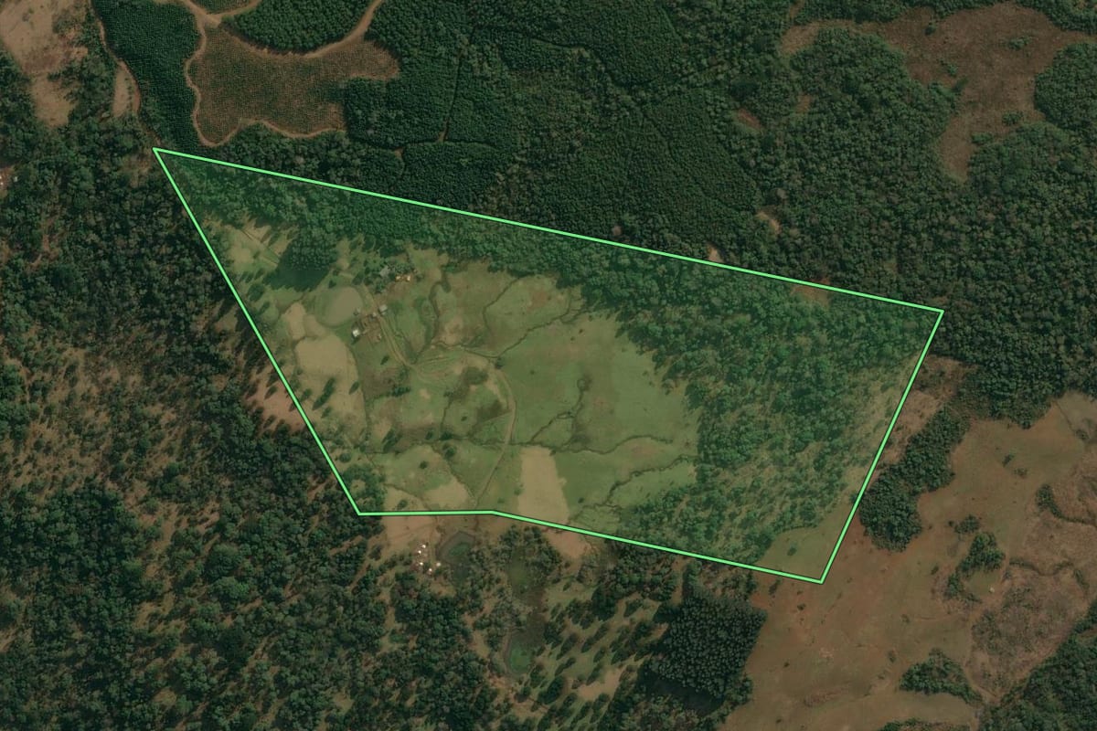Imagem de satélite do imóvel rural em Cruz Machado (PR), com o contorno declarado no CAR desenhado por cima.