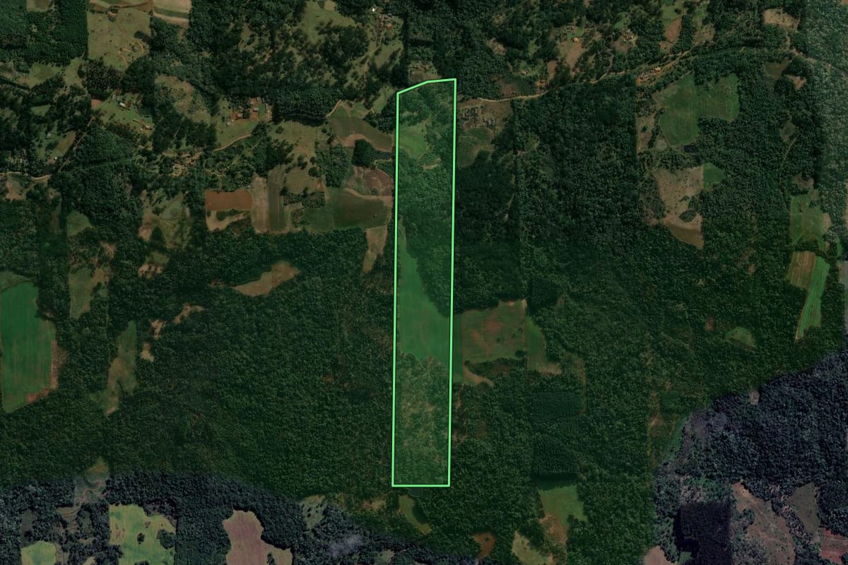 Imagem de satélite do imóvel rural em Cruz Machado (PR), com o contorno declarado no CAR desenhado por cima.