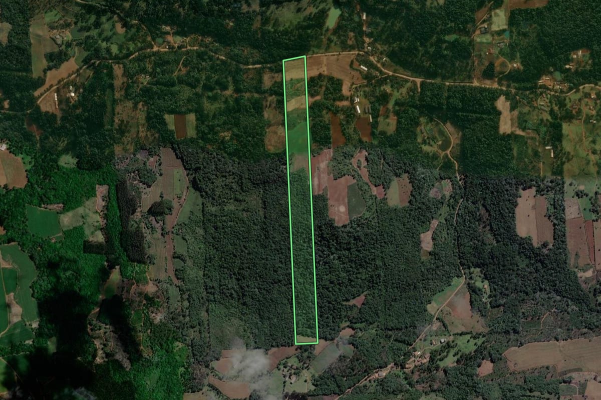 Imagem de satélite do imóvel rural em Cruz Machado (PR), com o contorno declarado no CAR desenhado por cima.