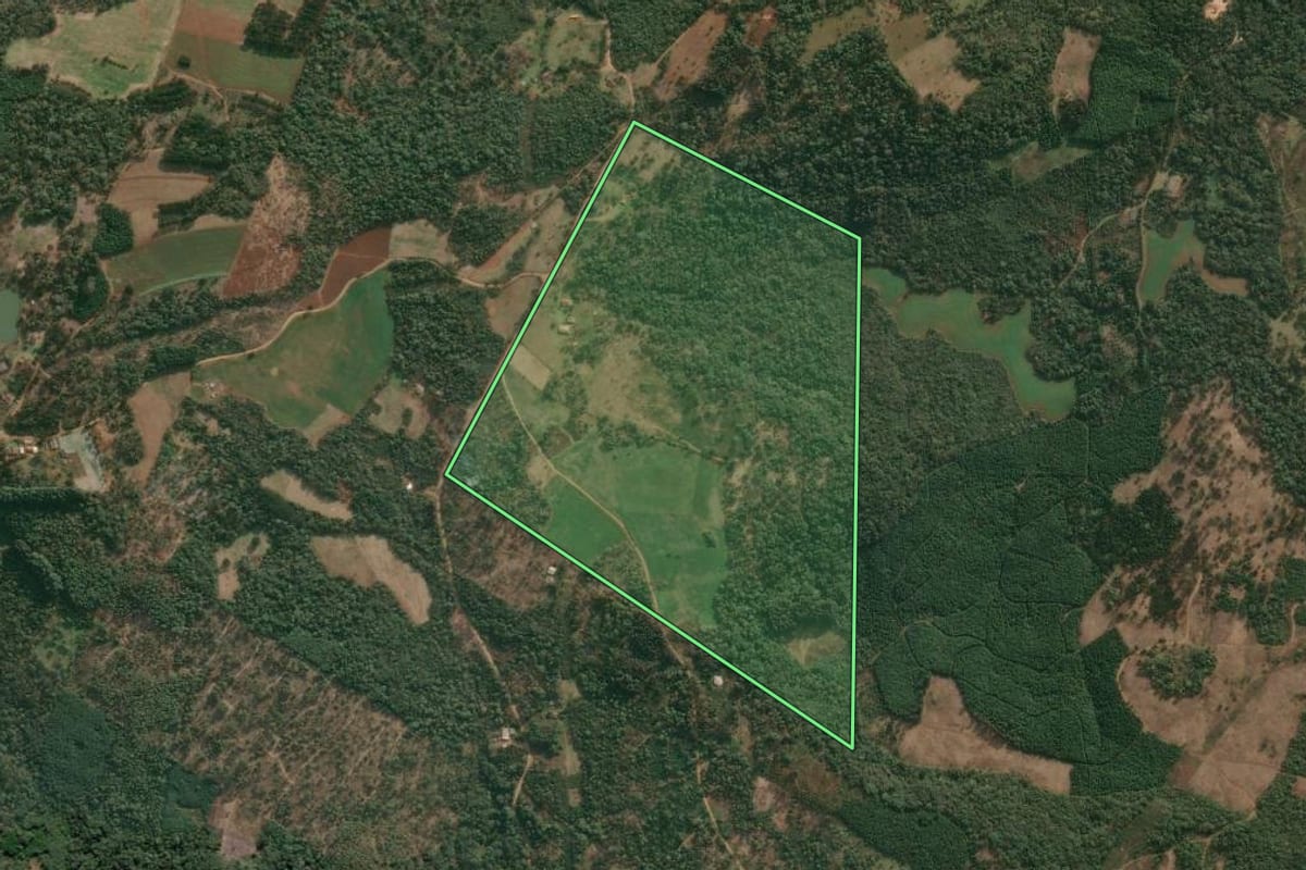 Imagem de satélite do imóvel rural em Cruz Machado (PR), com o contorno declarado no CAR desenhado por cima.