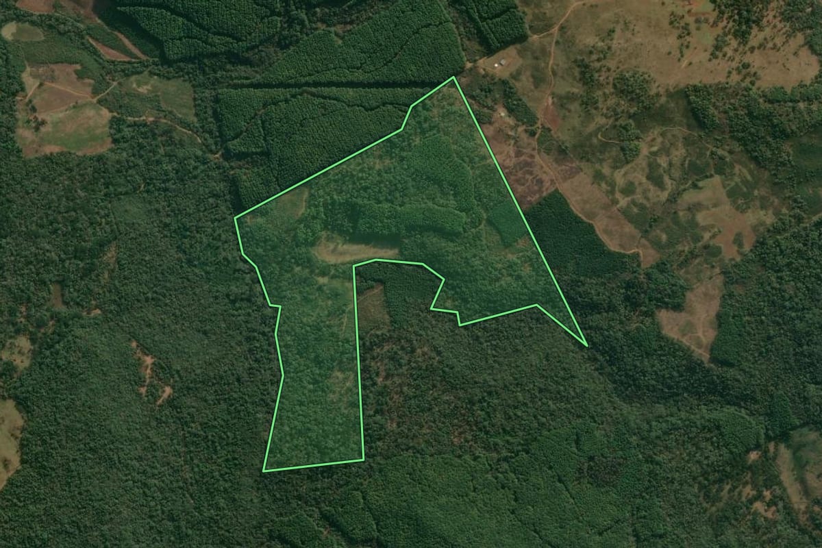 Imagem de satélite do imóvel rural em Cruz Machado (PR), com o contorno declarado no CAR desenhado por cima.