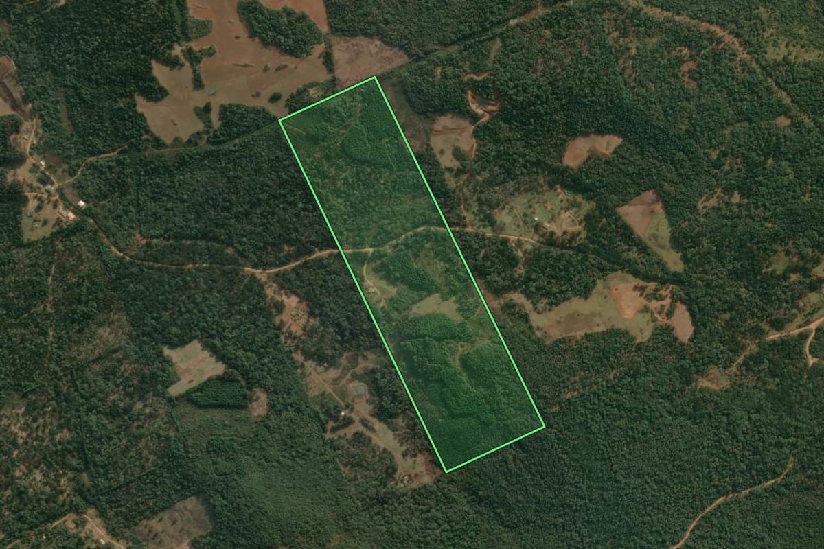 Imagem de satélite do imóvel rural em Cruz Machado (PR), com o contorno declarado no CAR desenhado por cima.