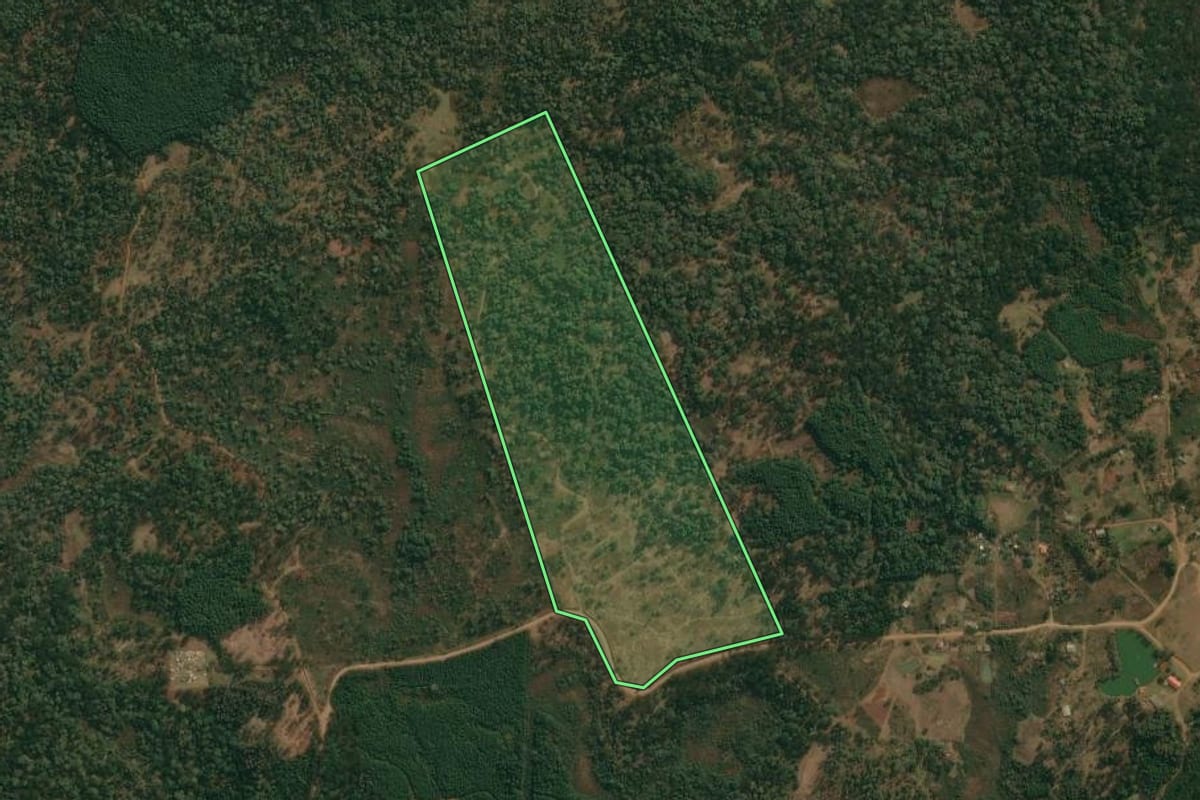 Imagem de satélite do imóvel rural em Cruz Machado (PR), com o contorno declarado no CAR desenhado por cima.