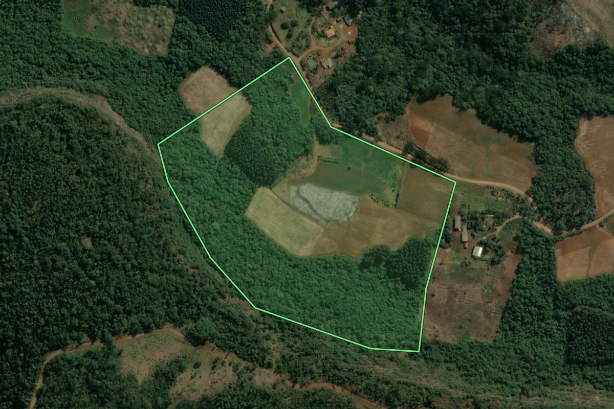 Imagem de satélite do imóvel rural em Cruz Machado (PR), com o contorno declarado no CAR desenhado por cima.