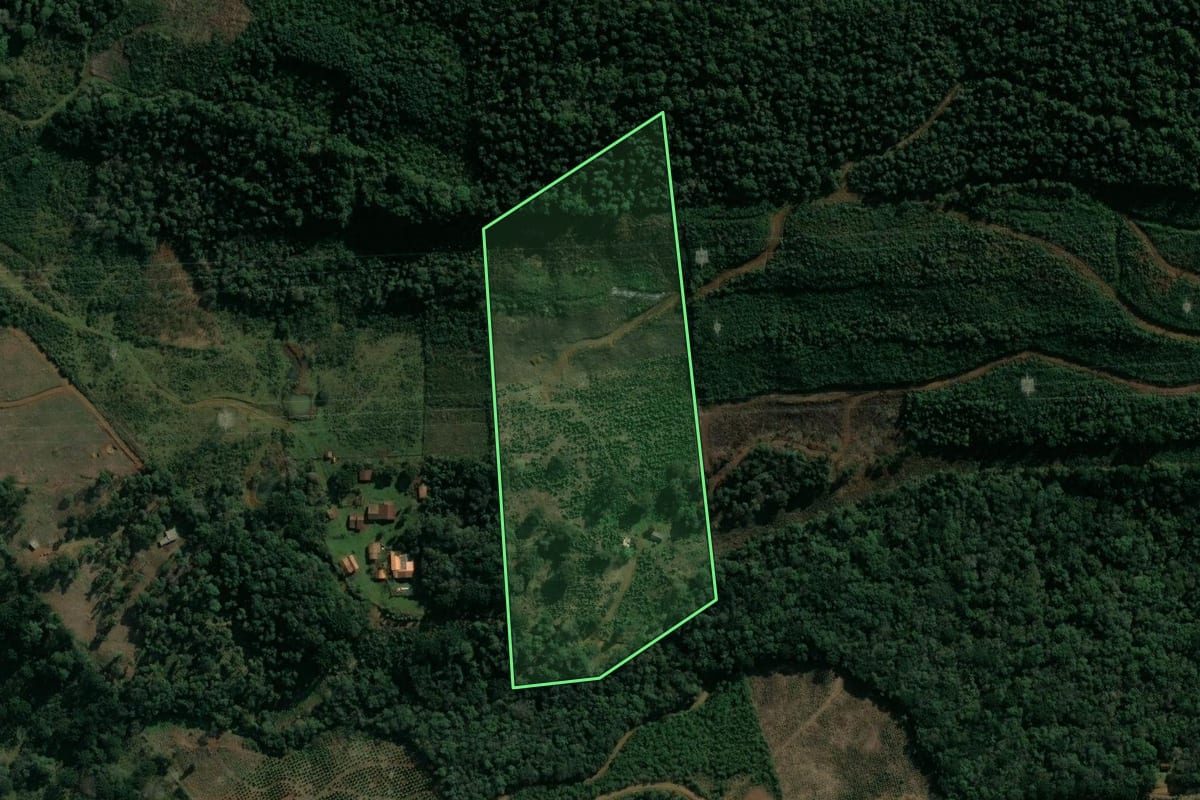 Imagem de satélite do imóvel rural em Cruz Machado (PR), com o contorno declarado no CAR desenhado por cima.