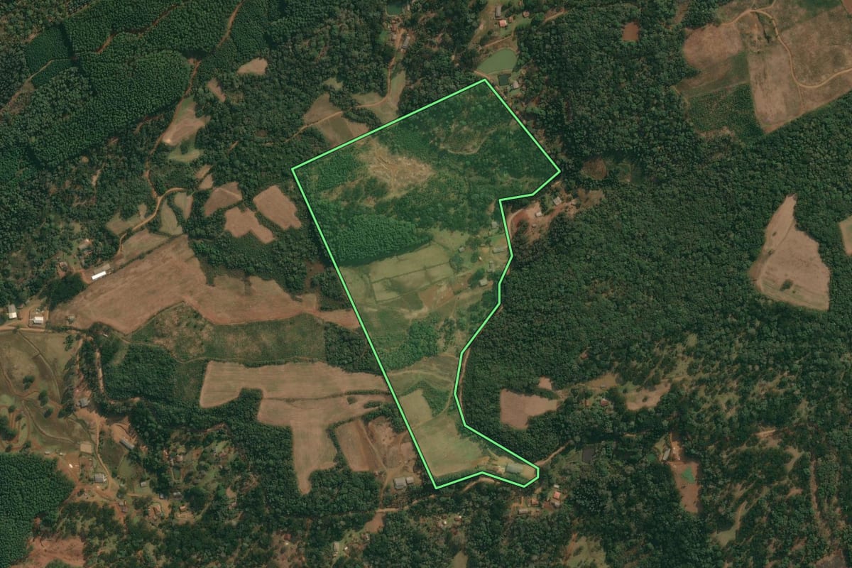 Imagem de satélite do imóvel rural em Cruz Machado (PR), com o contorno declarado no CAR desenhado por cima.