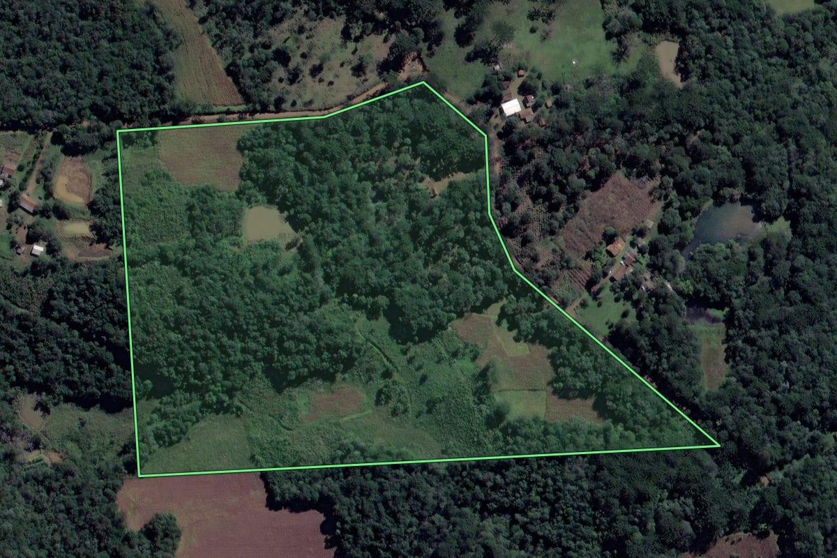 Imagem de satélite do imóvel rural em Cruz Machado (PR), com o contorno declarado no CAR desenhado por cima.