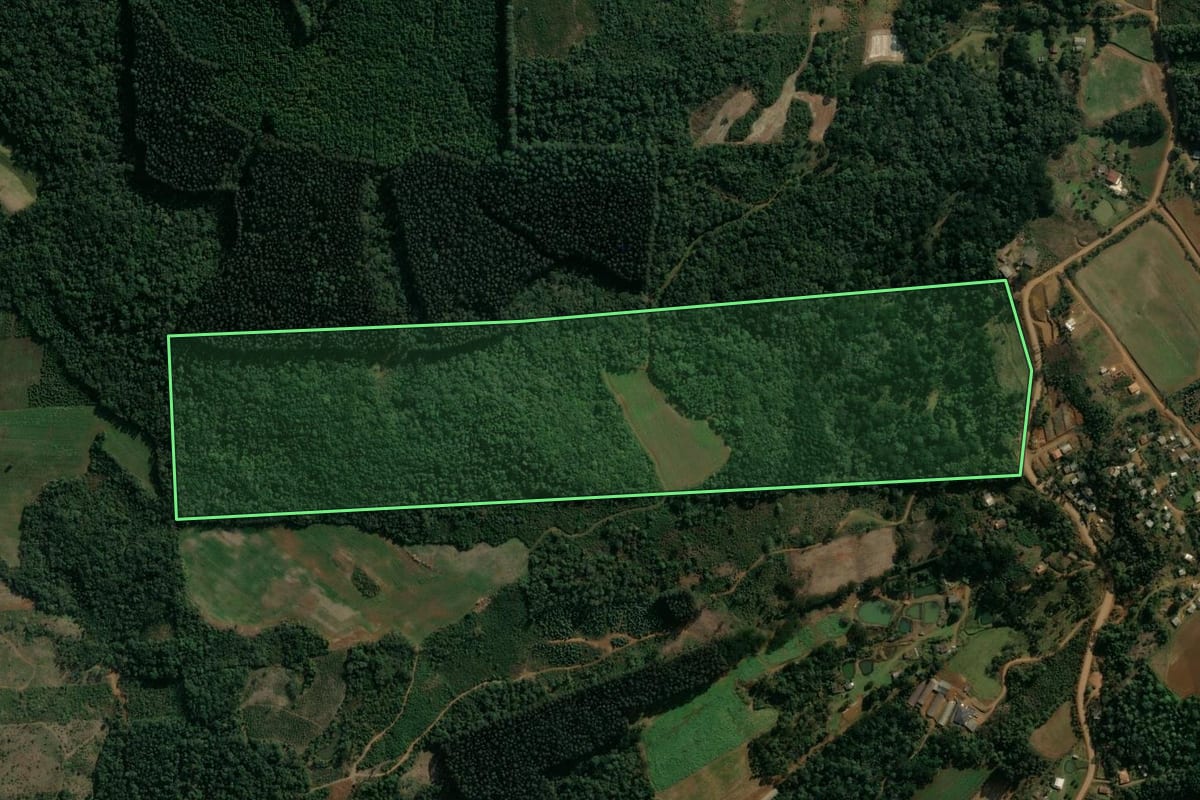 Imagem de satélite do imóvel rural em Cruz Machado (PR), com o contorno declarado no CAR desenhado por cima.