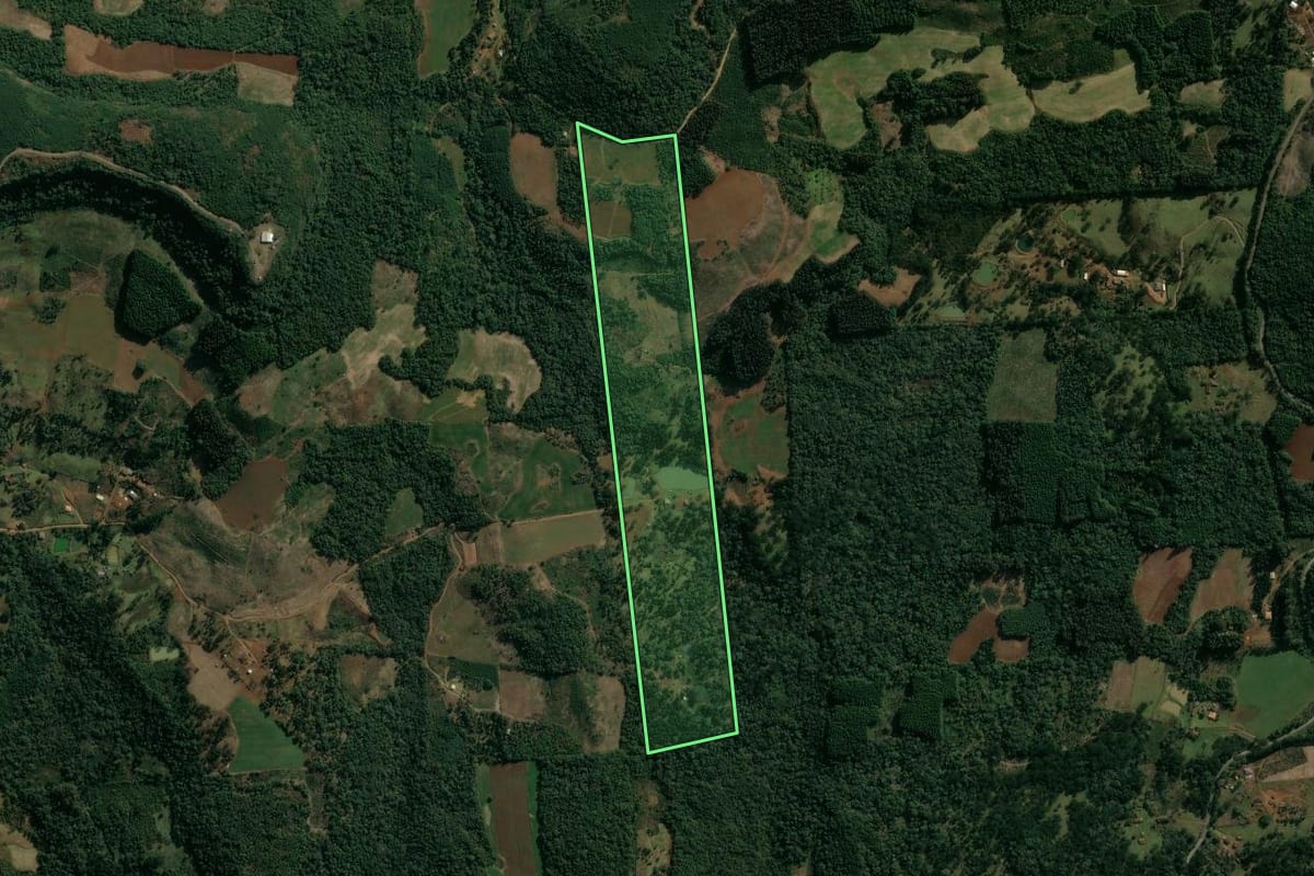 Imagem de satélite do imóvel rural em Cruz Machado (PR), com o contorno declarado no CAR desenhado por cima.