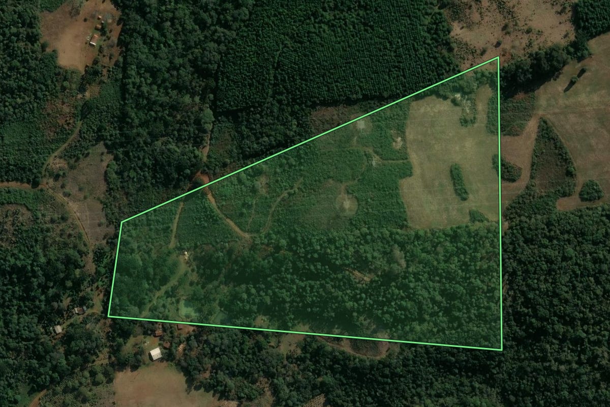 Imagem de satélite do imóvel rural em Cruz Machado (PR), com o contorno declarado no CAR desenhado por cima.