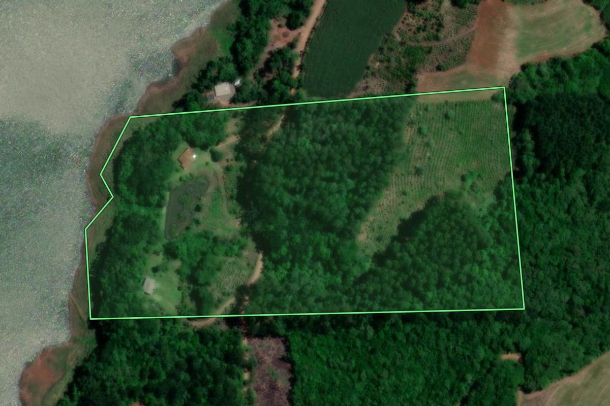 Imagem de satélite do imóvel rural em Cruz Machado (PR), com o contorno declarado no CAR desenhado por cima.