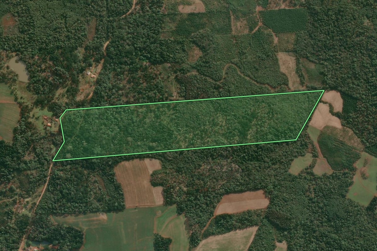 Imagem de satélite do imóvel rural em Cruz Machado (PR), com o contorno declarado no CAR desenhado por cima.