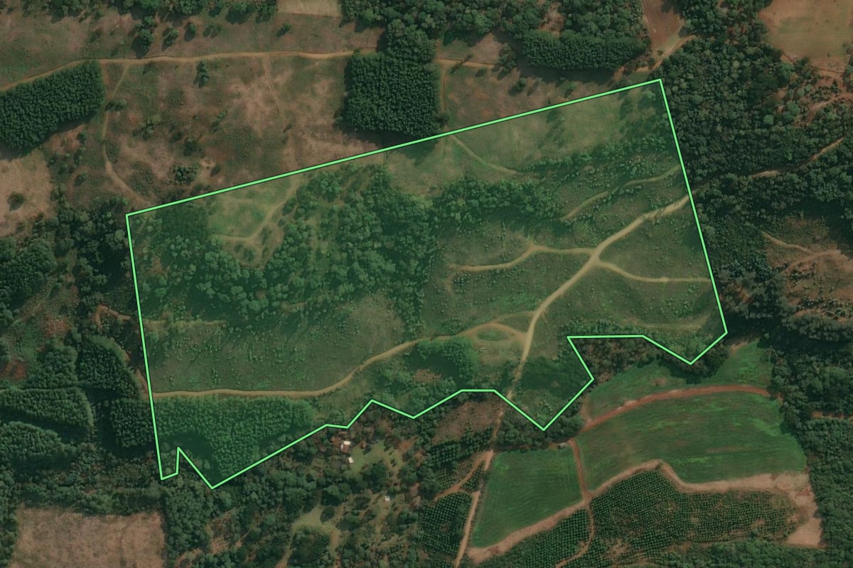 Imagem de satélite do imóvel rural em Cruz Machado (PR), com o contorno declarado no CAR desenhado por cima.