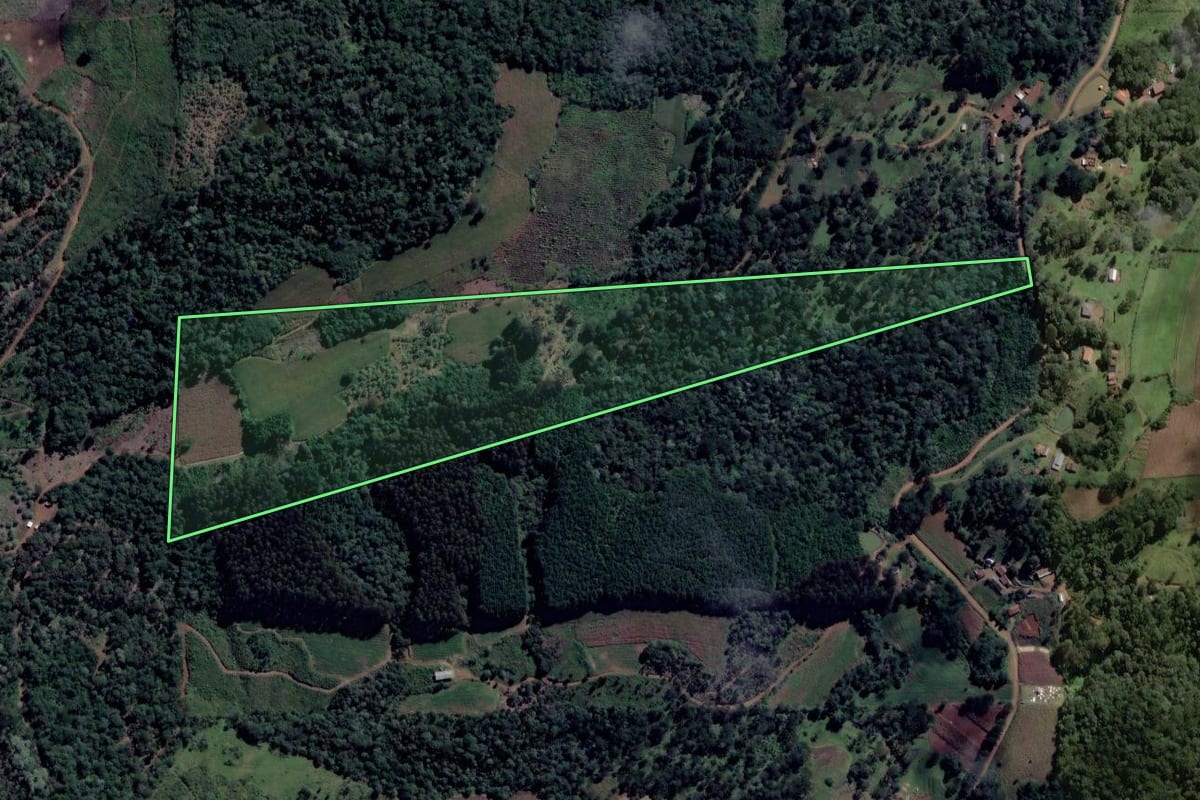 Imagem de satélite do imóvel rural em Cruz Machado (PR), com o contorno declarado no CAR desenhado por cima.