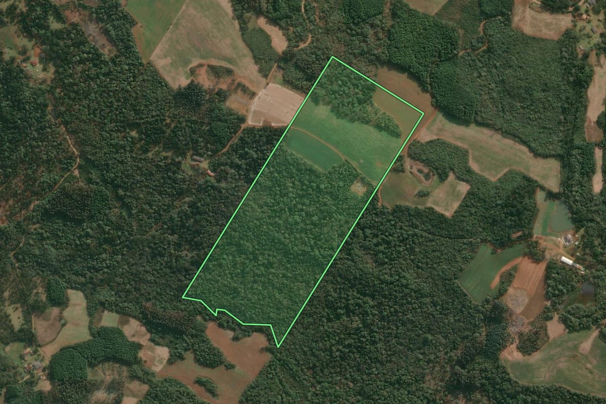 Imagem de satélite do imóvel rural em Cruz Machado (PR), com o contorno declarado no CAR desenhado por cima.