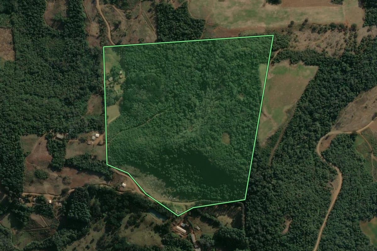 Imagem de satélite do imóvel rural em Cruz Machado (PR), com o contorno declarado no CAR desenhado por cima.
