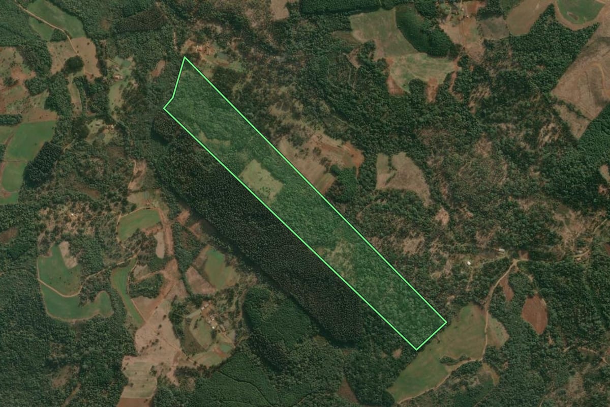 Imagem de satélite do imóvel rural em Cruz Machado (PR), com o contorno declarado no CAR desenhado por cima.